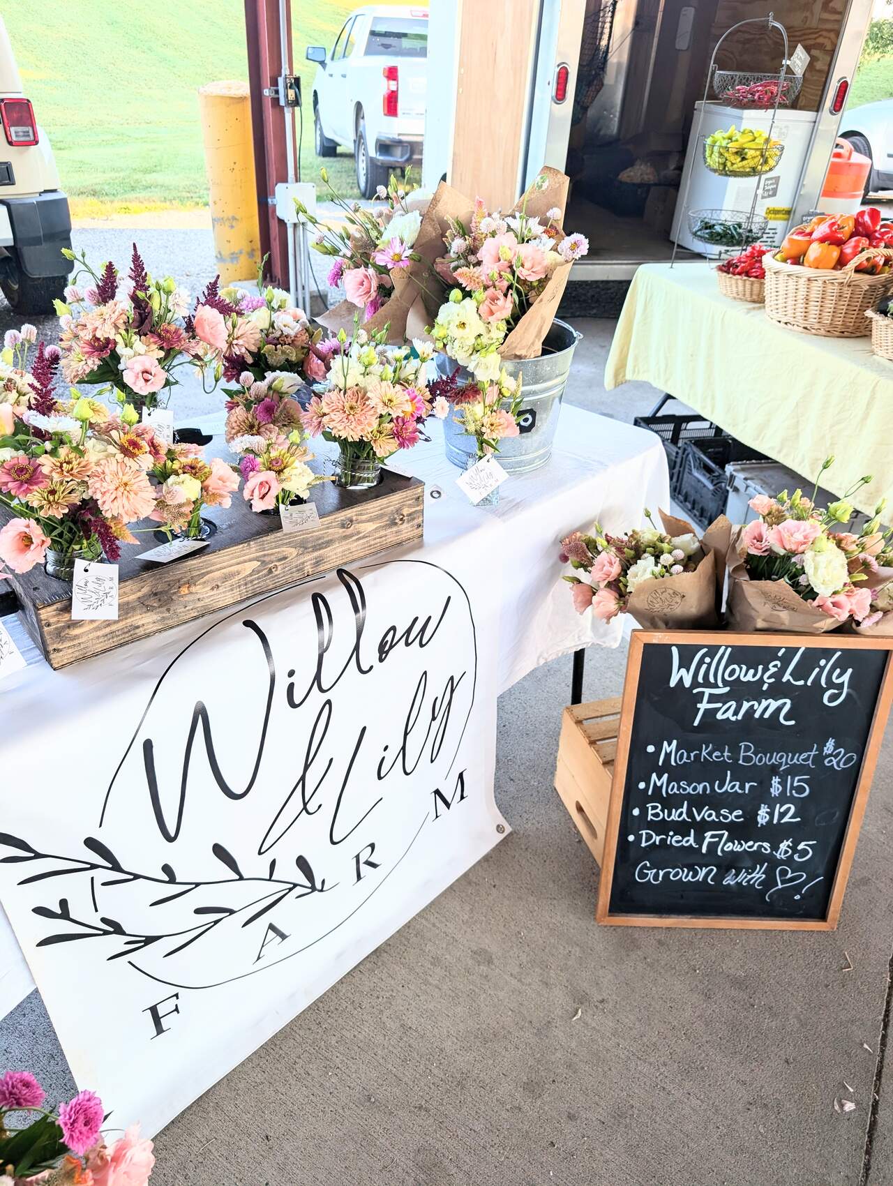 PXL_20250816_122559902MP2_med