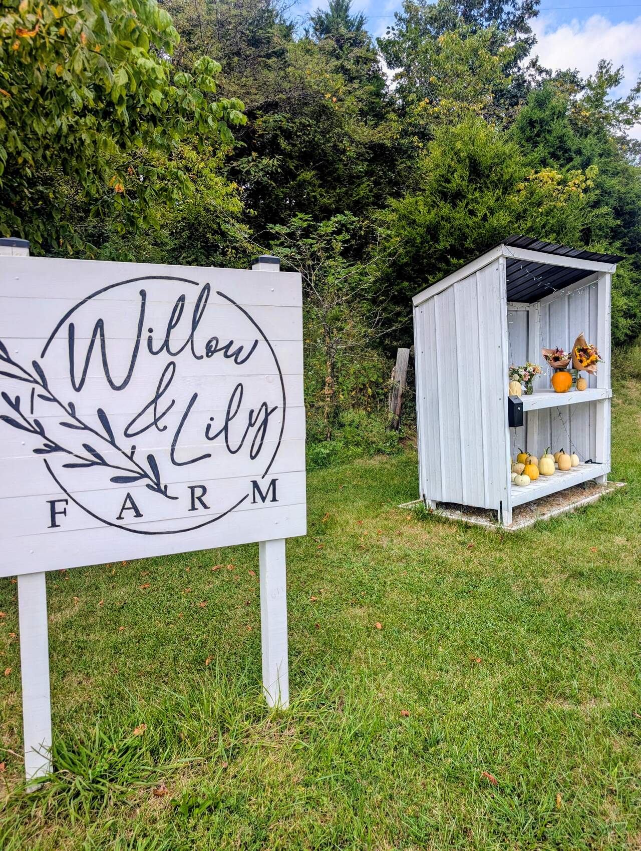 PXL_20250906_1913251422_med